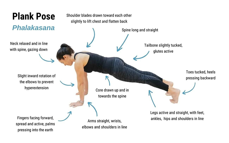 5-tu-the-yoga-co-ban-cho-nguoi-moi-bat-dau