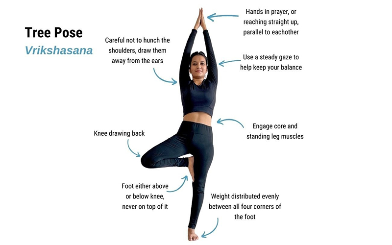 5-tu-the-yoga-co-ban-cho-nguoi-moi-bat-dau