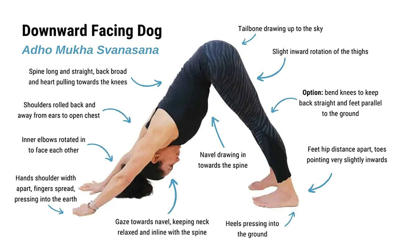 5-tu-the-yoga-co-ban-cho-nguoi-moi-bat-dau