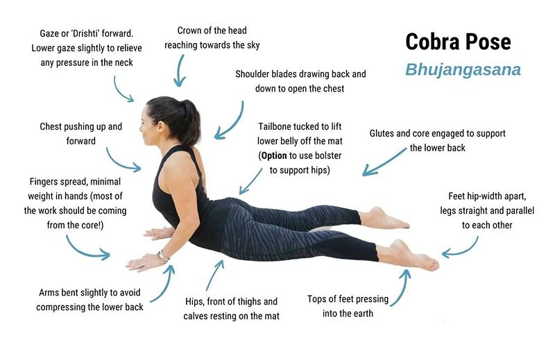 Infino-tu-the-ran-ho-mang-Bhujangasana