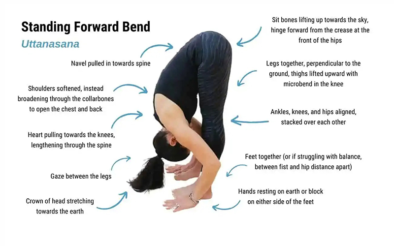 Tư thế Gập Người (Forward Fold – Uttanasana)