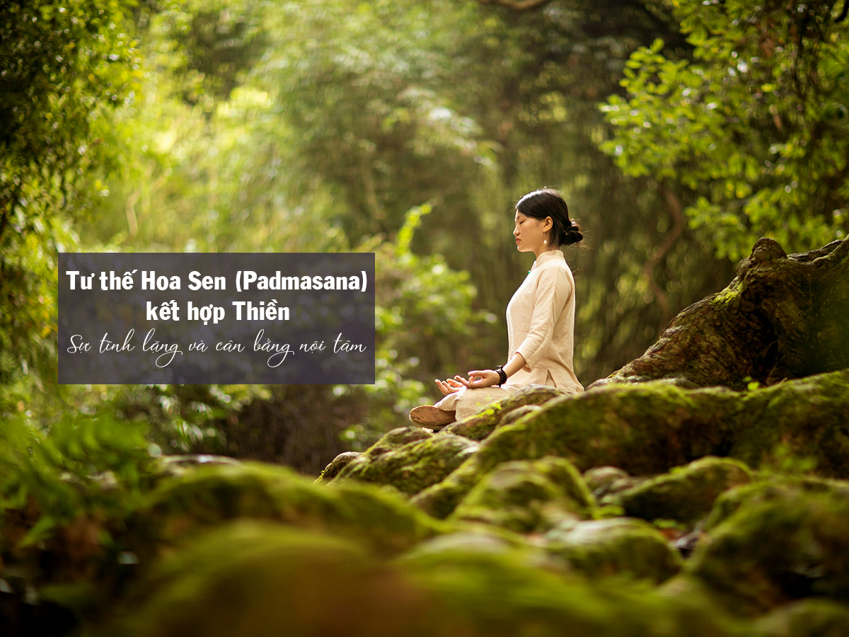 Infino-yoga-tu-the-hoa-sen-Padmasana