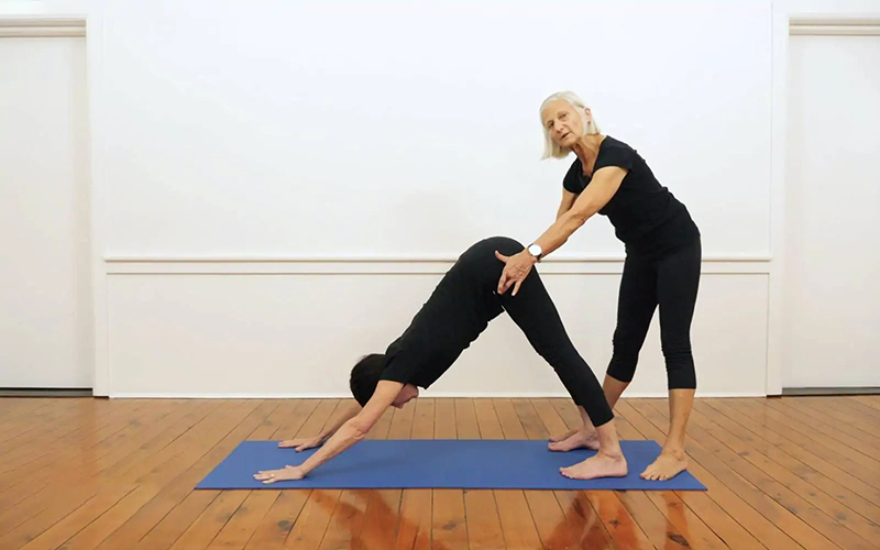 infino-yoga-cho-cui-mat-Downward-Facing-Dog-Adho-Mukha-Svanasana