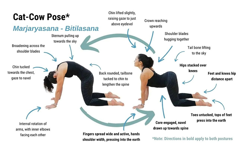 Infino-yoga-dan-van-phon-lung-co-vai-gay